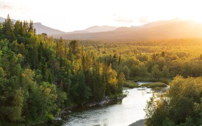 Swedish general practitioners (GPs) rank number one in consultation time