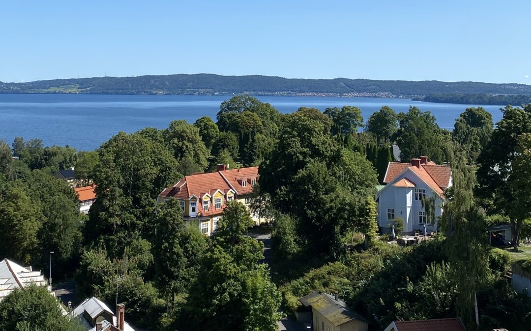 From Bulgaria to Sweden: Goran’s new life in Jönköping